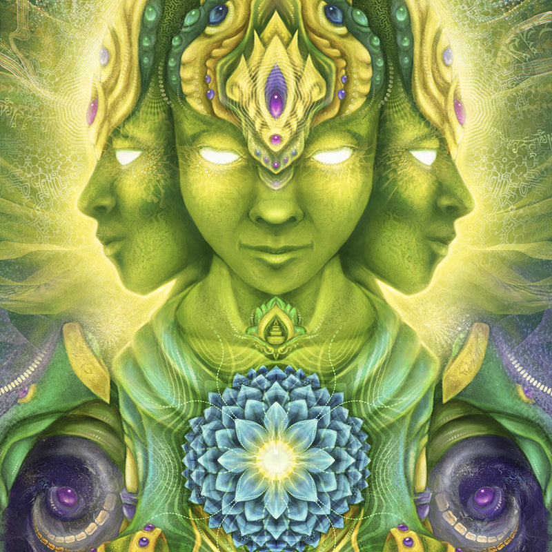 Olivia Curry DreamNectar