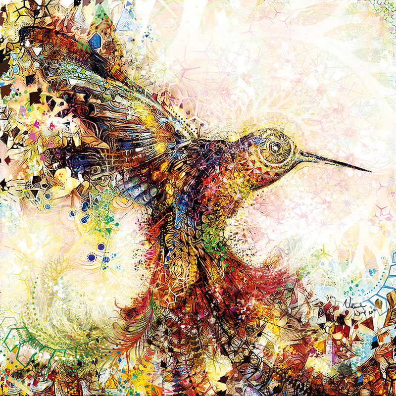Natural Warp