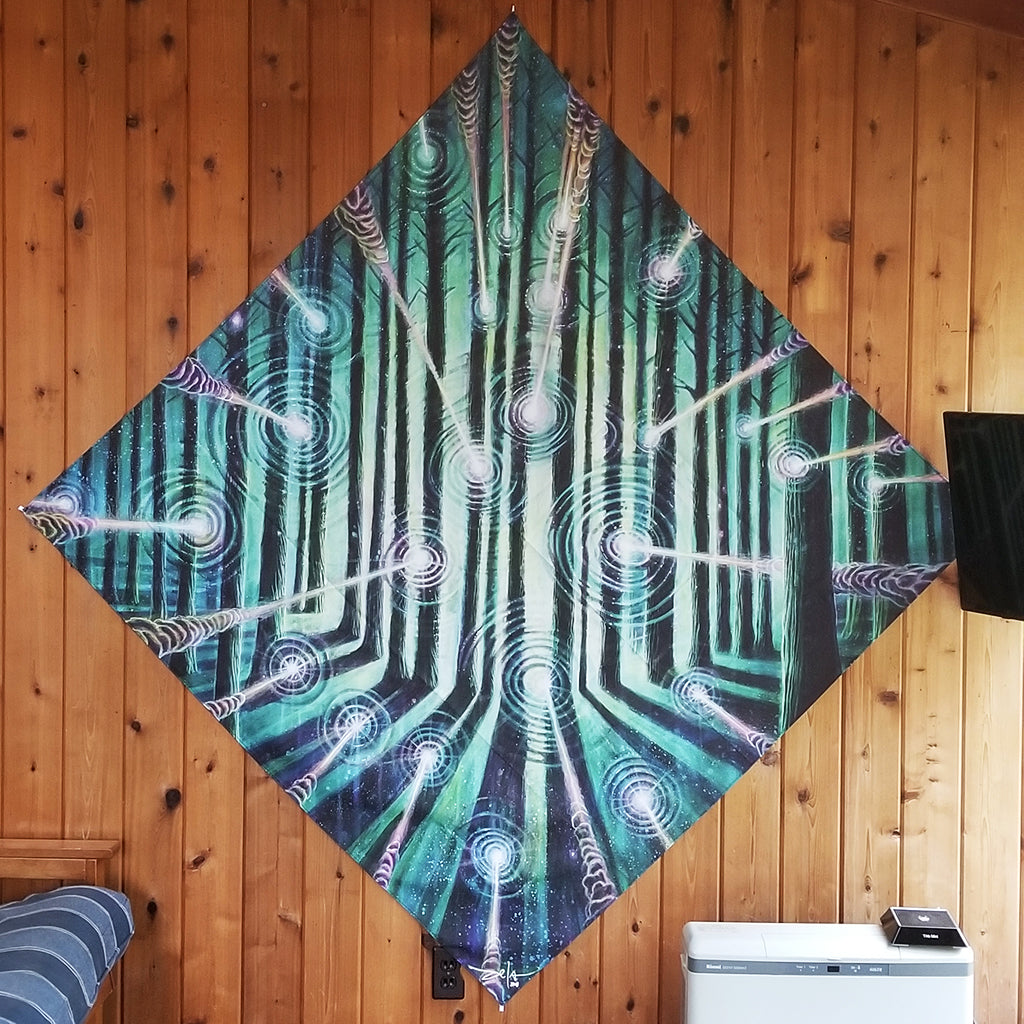 Electric Forest