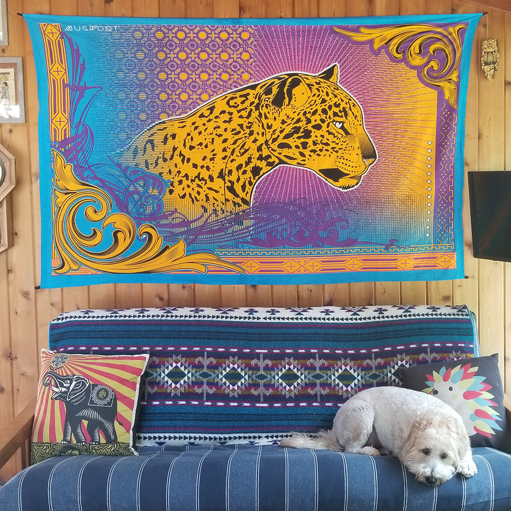 Jaguar Gaze