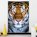 Eye of the Tiger