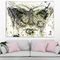Lepidoptera