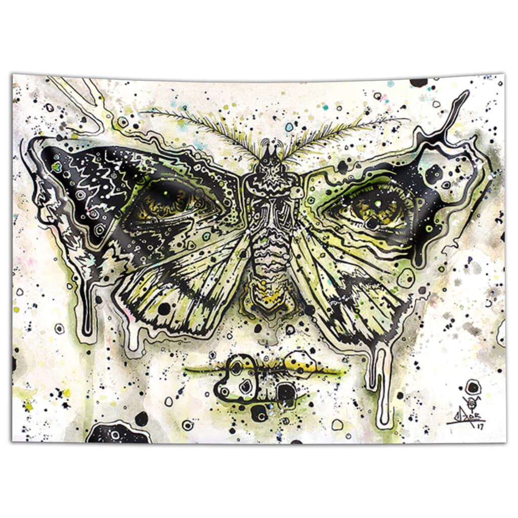 Lepidoptera