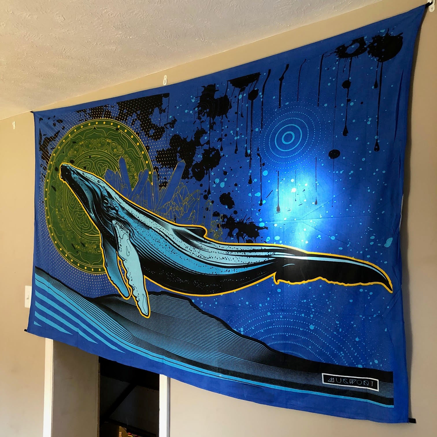 Whale Ripple