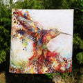 Hummingbird of Paradise